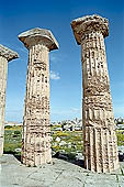 Selinunte the temple hill - A close-up of the Doric columns of temple E, 10 m high and with a diameter of more than 2 meters.